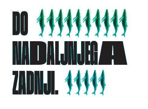 Do nadaljnjega zadnji